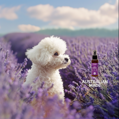 Pet Spray - Lavender - 100mL/50mL