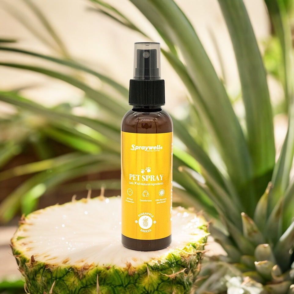 Pet Spray - Pineapple - 100mL/50mL